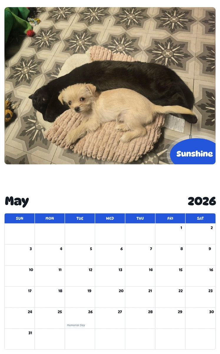 2026 - 2027 Sunshine - Pawidols Pet Calendar