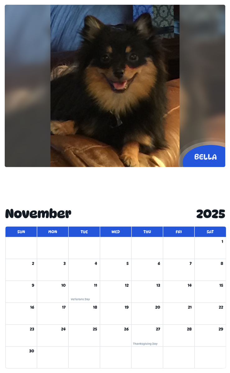 July 2025 - June 2026 Bella - Pawidols Pet Calendar