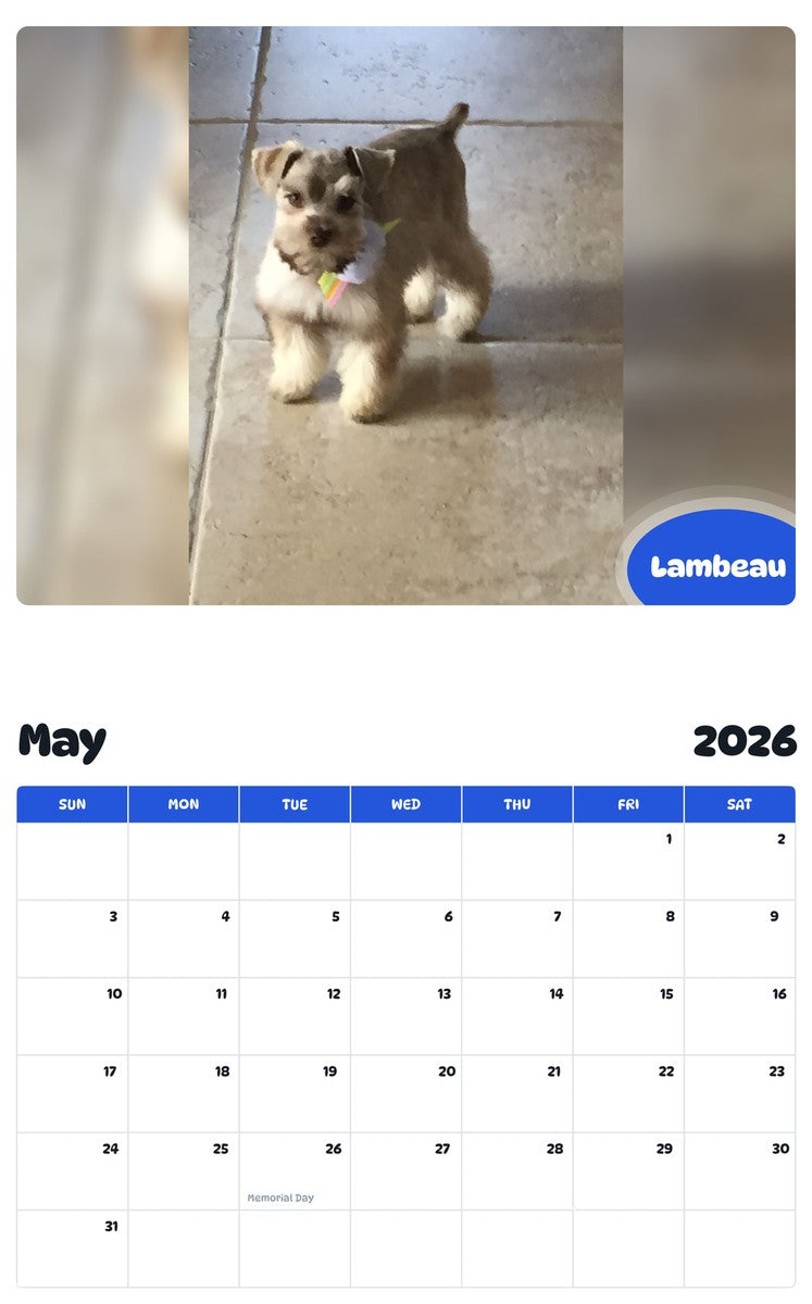 2026 - 2027 Lambeau - Pawidols Pet Calendar