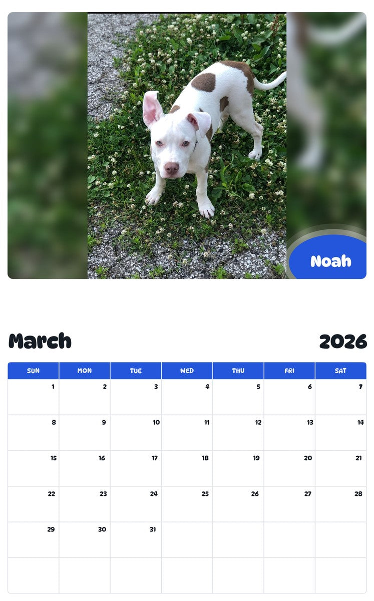 November 2025 - October 2026 Noah - Pawidols Pet Calendar
