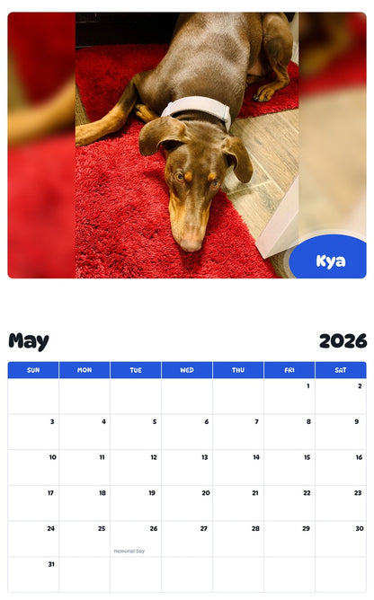 2026 - 2027 Kya - Pawidols Pet Calendar