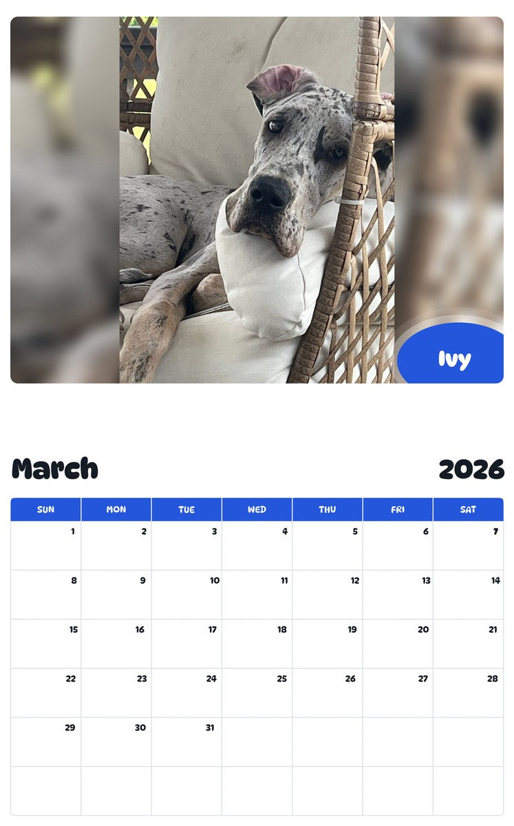 November 2025 - October 2026 Ivy - Pawidols Pet Calendar