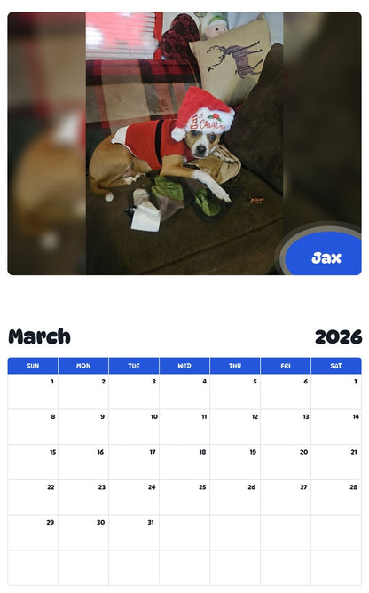 November 2025 - October 2026 Jax - Pawidols Pet Calendar