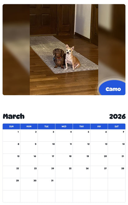November 2025 - October 2026 Camo - Pawidols Pet Calendar