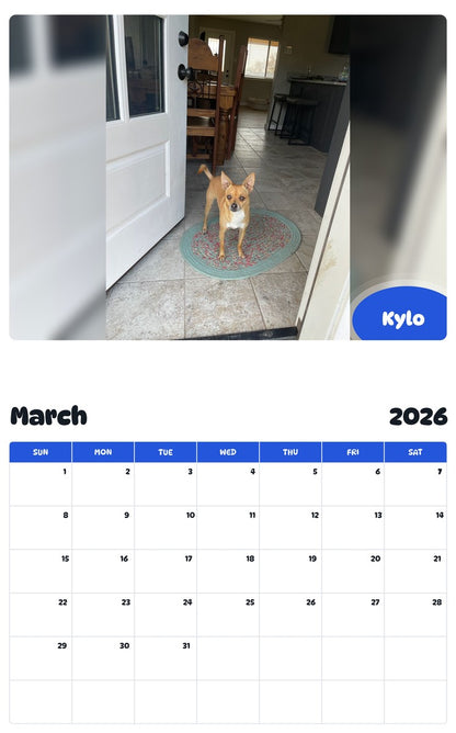November 2025 - October 2026 Kylo - Pawidols Pet Calendar