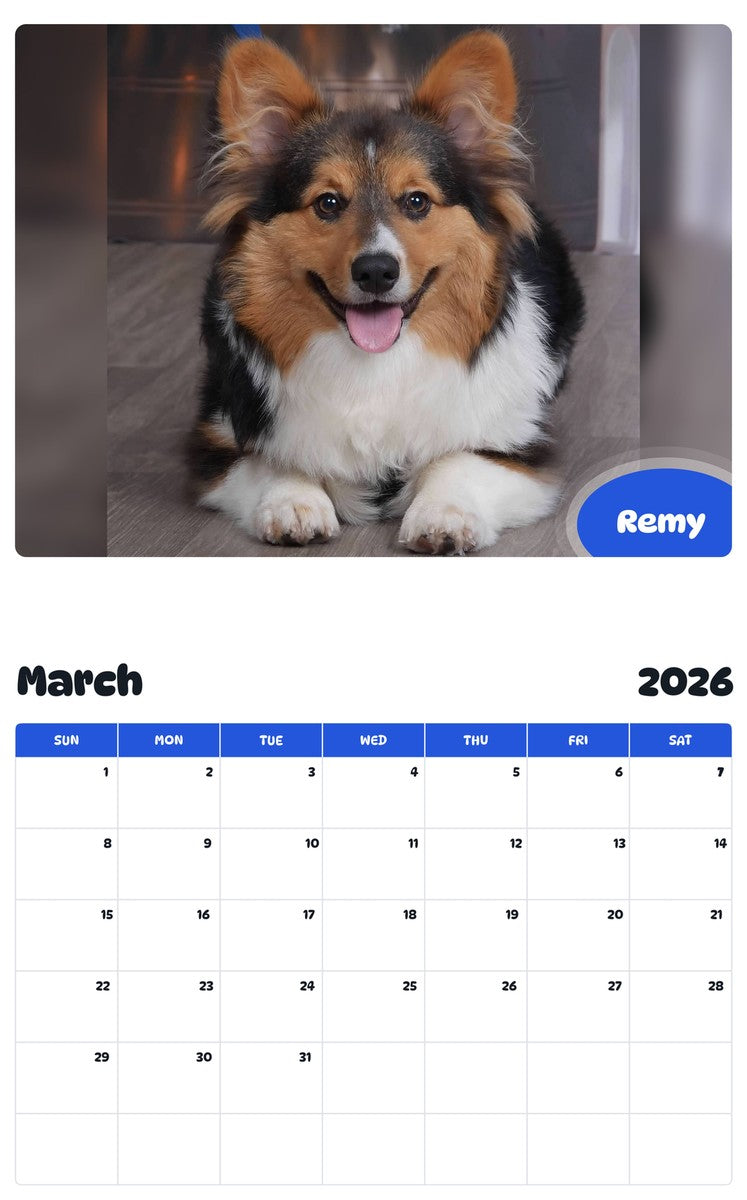 November 2025 - October 2026 Remy - Pawidols Pet Calendar