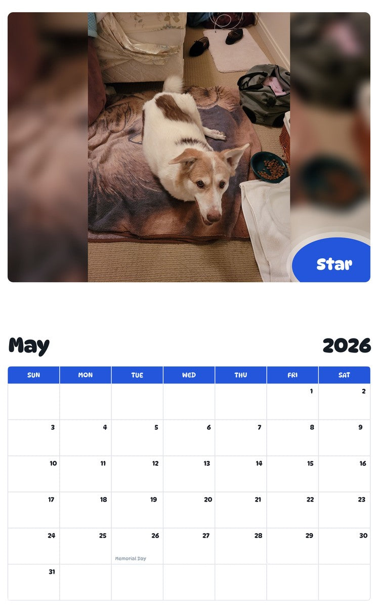 2026 - 2027 Star - Pawidols Pet Calendar