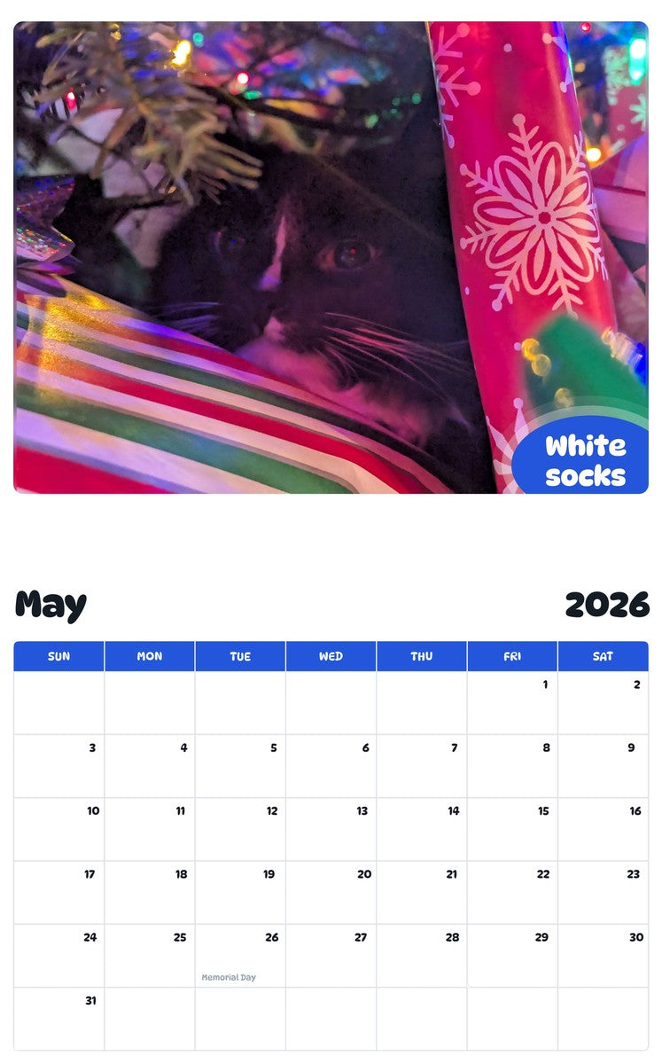 2026 - 2027 White socks - Pawidols Pet Calendar