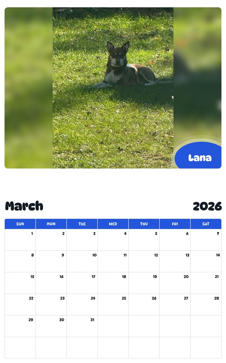 November 2025 - October 2026 Lana - Pawidols Pet Calendar