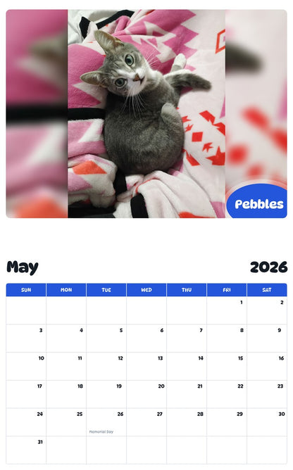 2026 - 2027 Pebbles - Pawidols Pet Calendar