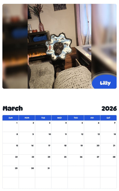 November 2025 - October 2026 Lilly - Pawidols Pet Calendar