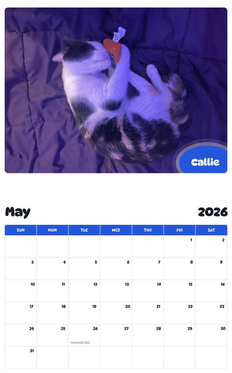 2026 - 2027 Callie - Pawidols Pet Calendar
