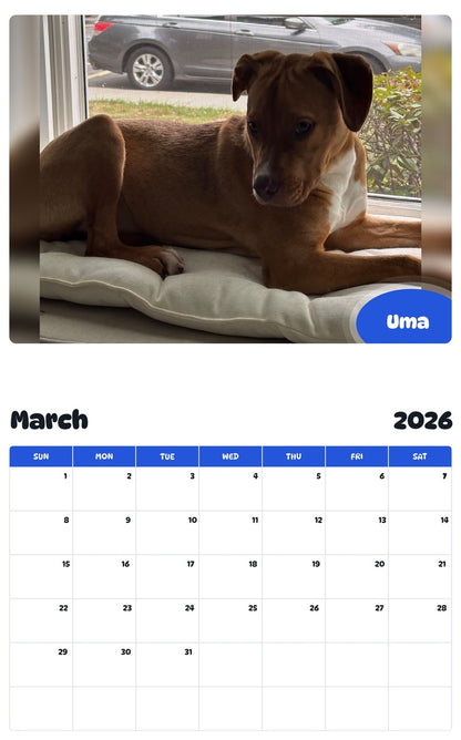 November 2025 - October 2026 Uma - Pawidols Pet Calendar