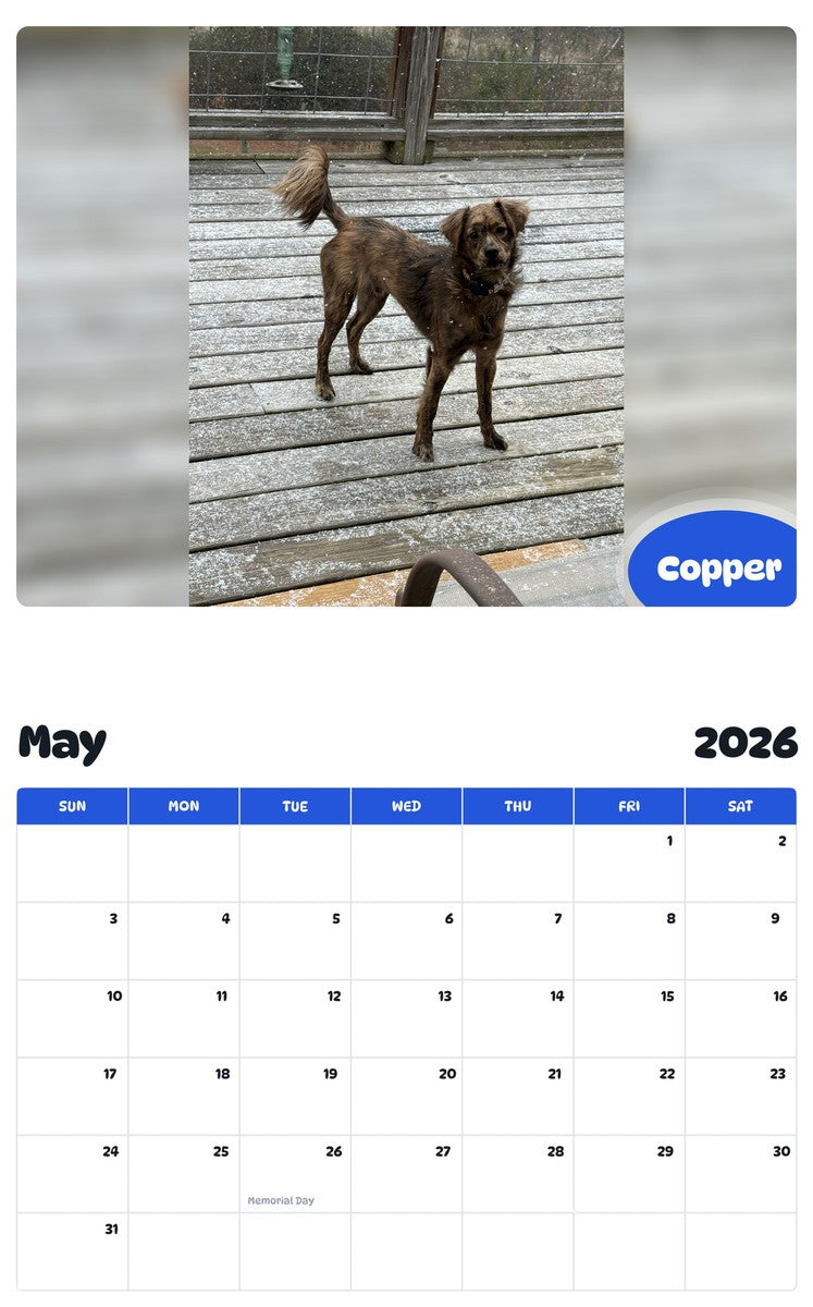2026 - 2027 Copper - Pawidols Pet Calendar