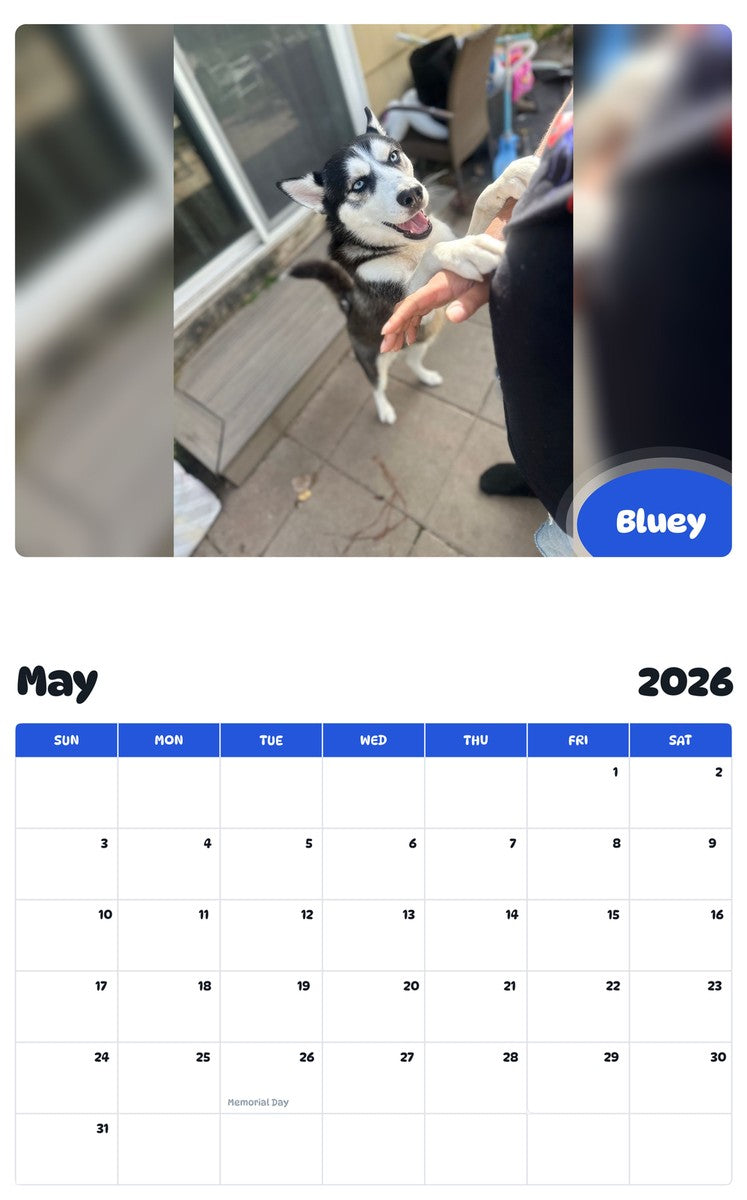 2026 - 2027 Bluey - Pawidols Pet Calendar