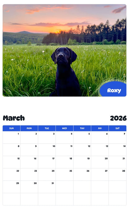 November 2025 - October 2026 Roxy - Pawidols Pet Calendar