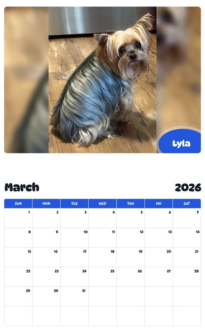 November 2025 - October 2026 Lyla - Pawidols Pet Calendar