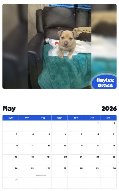 2026 - 2027 Haylee Grace - Pawidols Pet Calendar