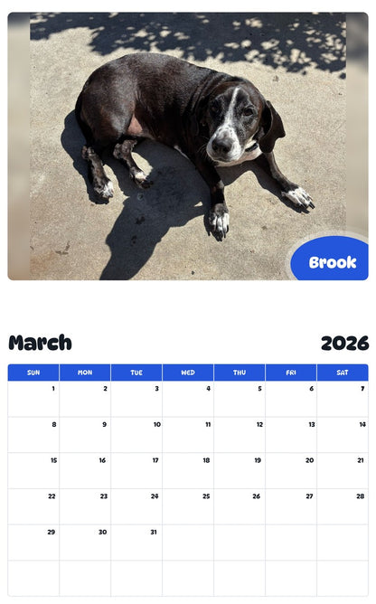 November 2025 - October 2026 Brook - Pawidols Pet Calendar