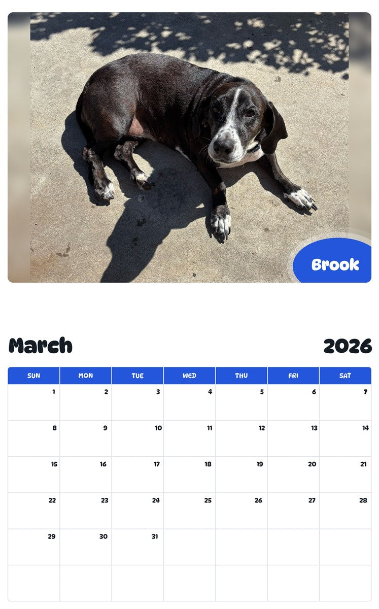 November 2025 - October 2026 Brook - Pawidols Pet Calendar