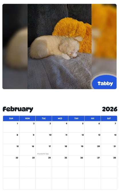 October 2025 - September 2026 Tabby - Pawidols Pet Calendar