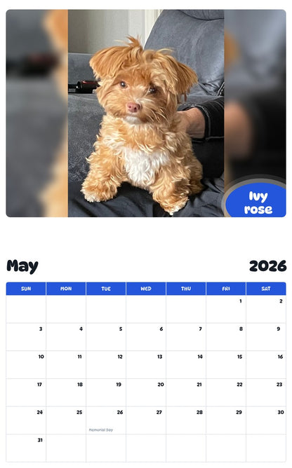 2026 - 2027 Ivy rose - Pawidols Pet Calendar