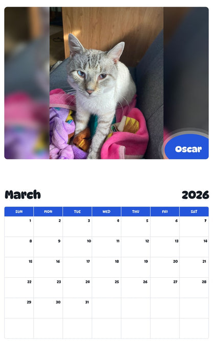 November 2025 - October 2026 Oscar - Pawidols Pet Calendar