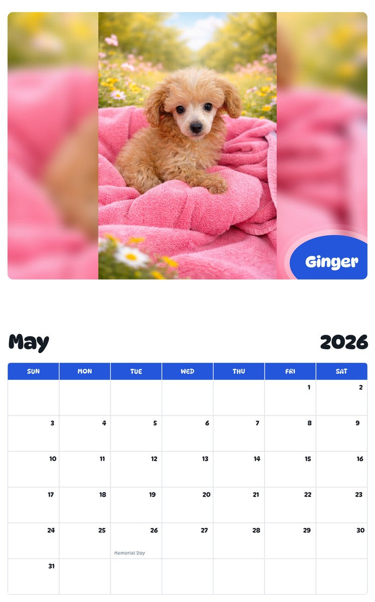 2026 - 2027 Ginger - Pawidols Pet Calendar