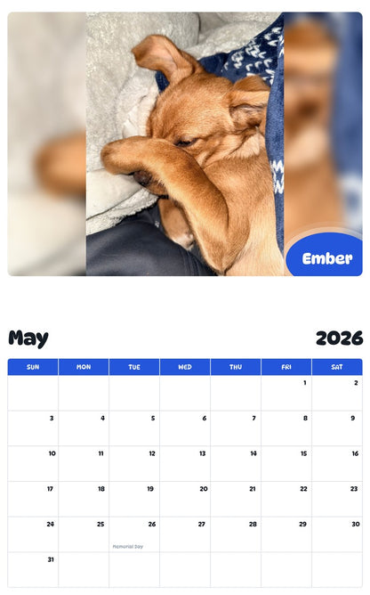 2026 - 2027 Ember - Pawidols Pet Calendar
