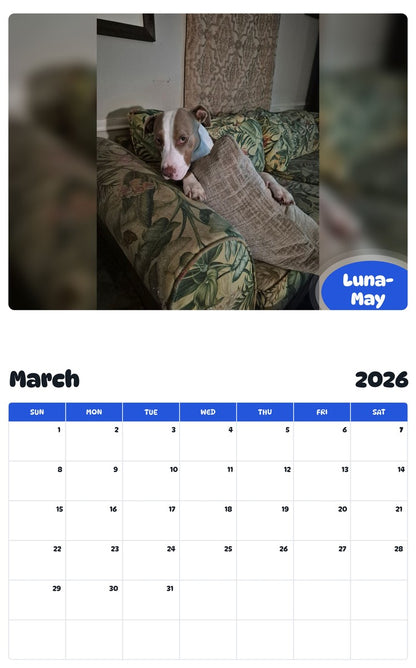 November 2025 - October 2026 Luna-May - Pawidols Pet Calendar