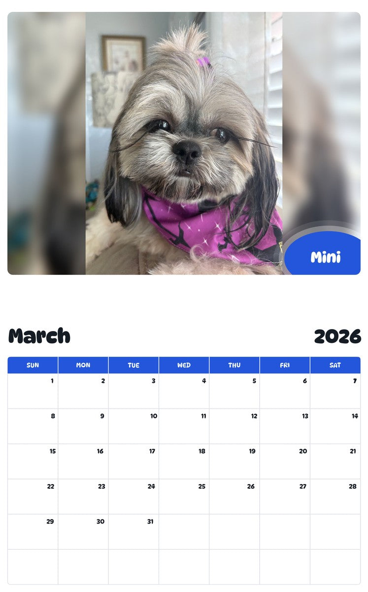 November 2025 - October 2026 Mini - Pawidols Pet Calendar
