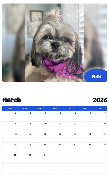 November 2025 - October 2026 Mini - Pawidols Pet Calendar