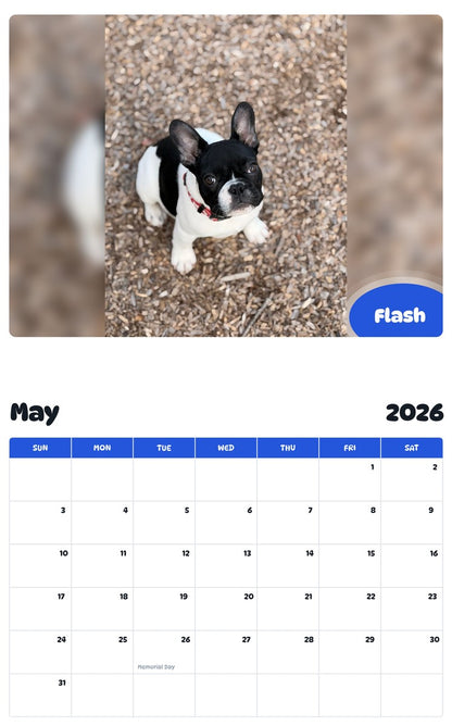 2026 - 2027 Flash - Pawidols Pet Calendar
