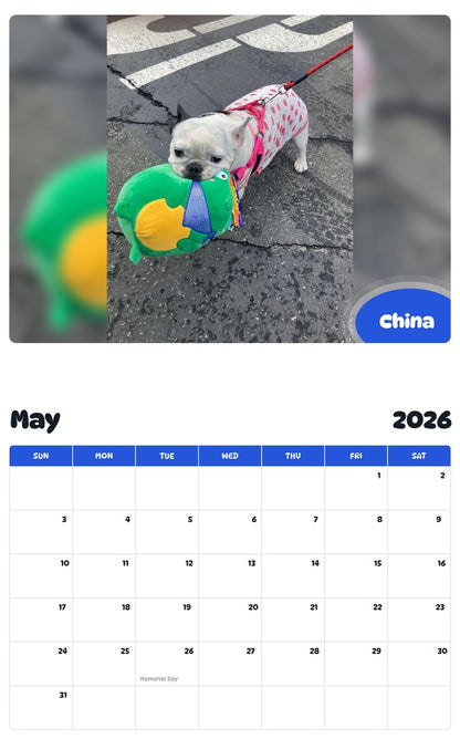 2026 - 2027 China - Pawidols Pet Calendar