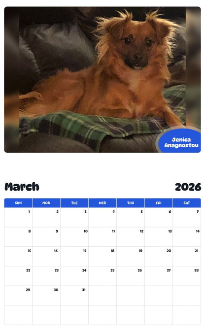 November 2025 - October 2026 Jenica Anagnostou - Pawidols Pet Calendar