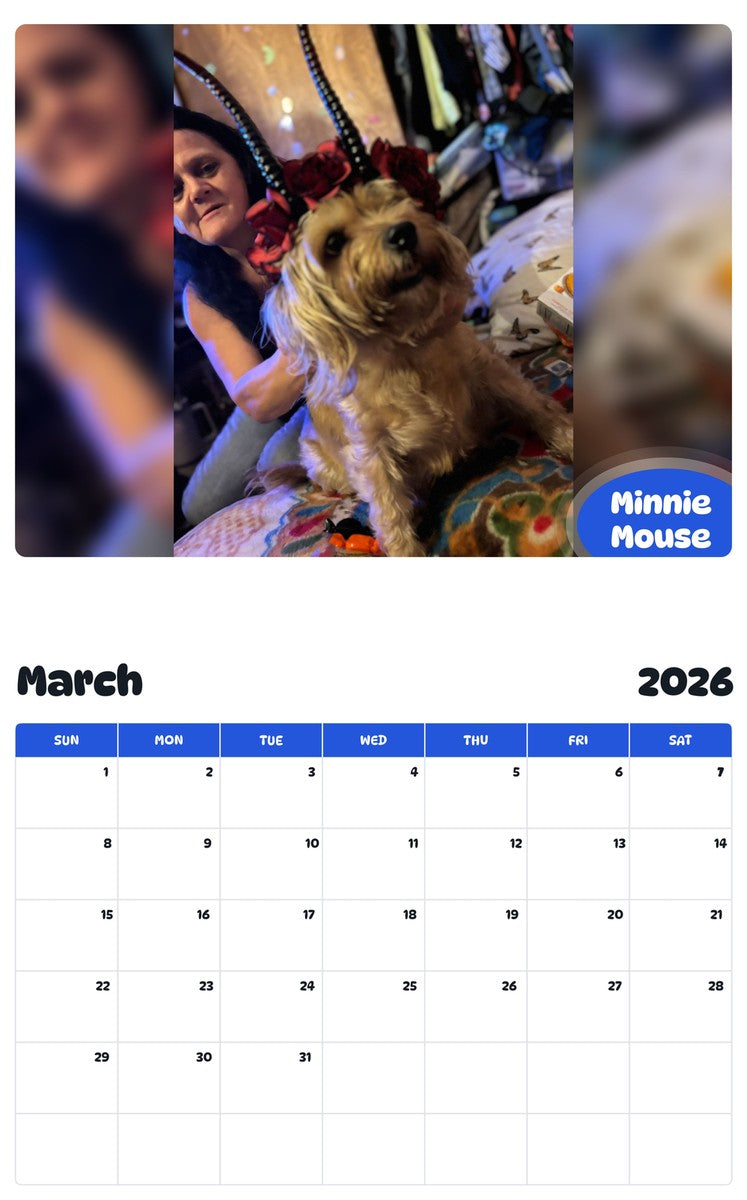 November 2025 - October 2026 Minnie Mouse - Pawidols Pet Calendar