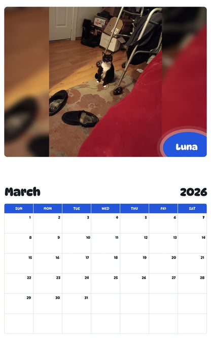 November 2025 - October 2026 Luna - Pawidols Pet Calendar