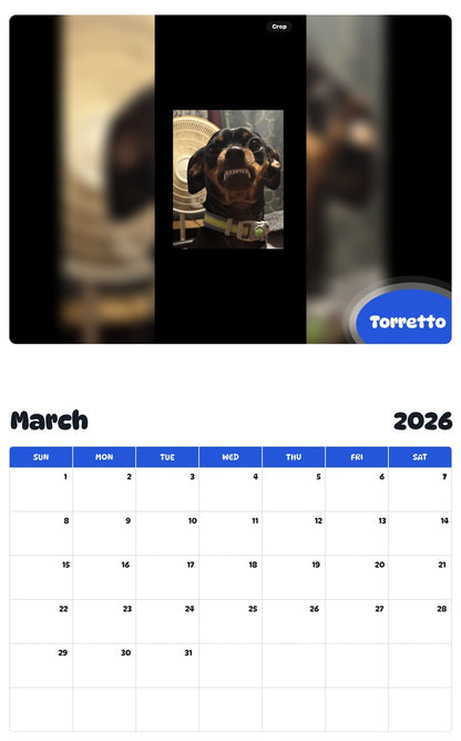 November 2025 - October 2026 Torretto - Pawidols Pet Calendar