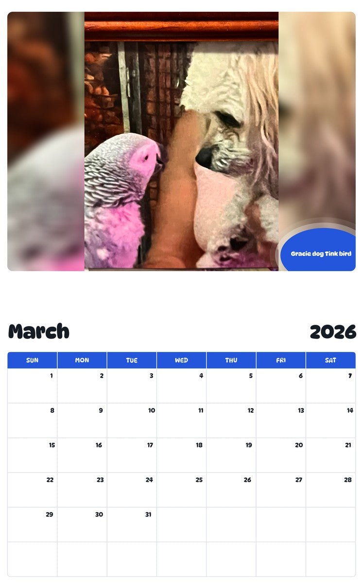 November 2025 - October 2026 Gracie dog Tink bird - Pawidols Pet Calendar