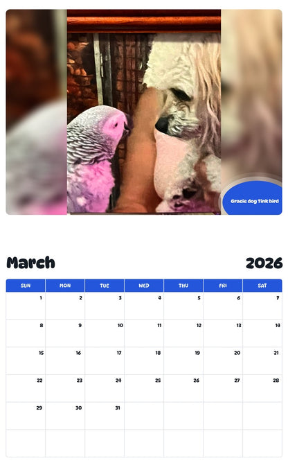November 2025 - October 2026 Gracie dog Tink bird - Pawidols Pet Calendar