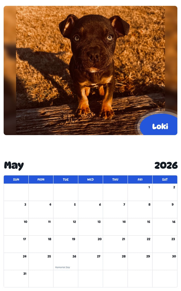 2026 - 2027 Loki - Pawidols Pet Calendar