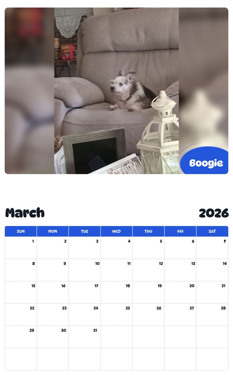 November 2025 - October 2026 Boogie - Pawidols Pet Calendar