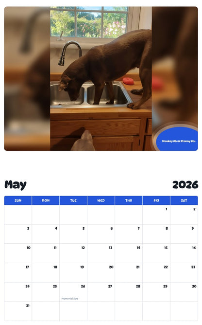 2026 - 2027 Smokey Blu & Stormy Blu - Pawidols Pet Calendar
