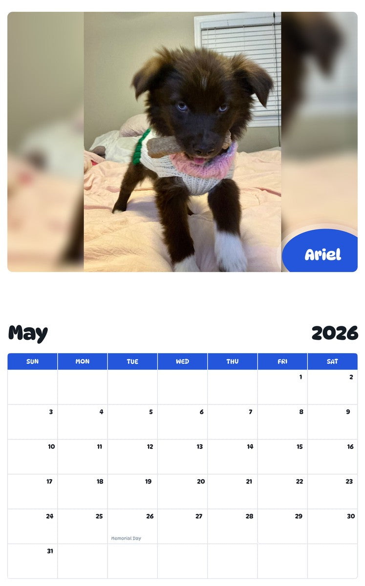 2026 - 2027 Ariel - Pawidols Pet Calendar