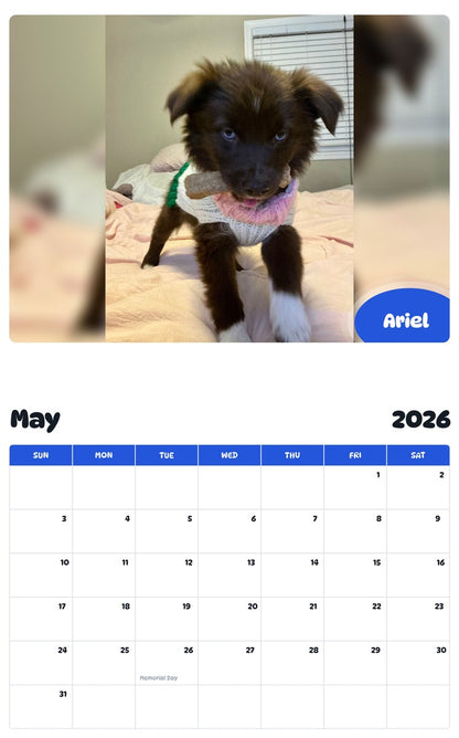 2026 - 2027 Ariel - Pawidols Pet Calendar