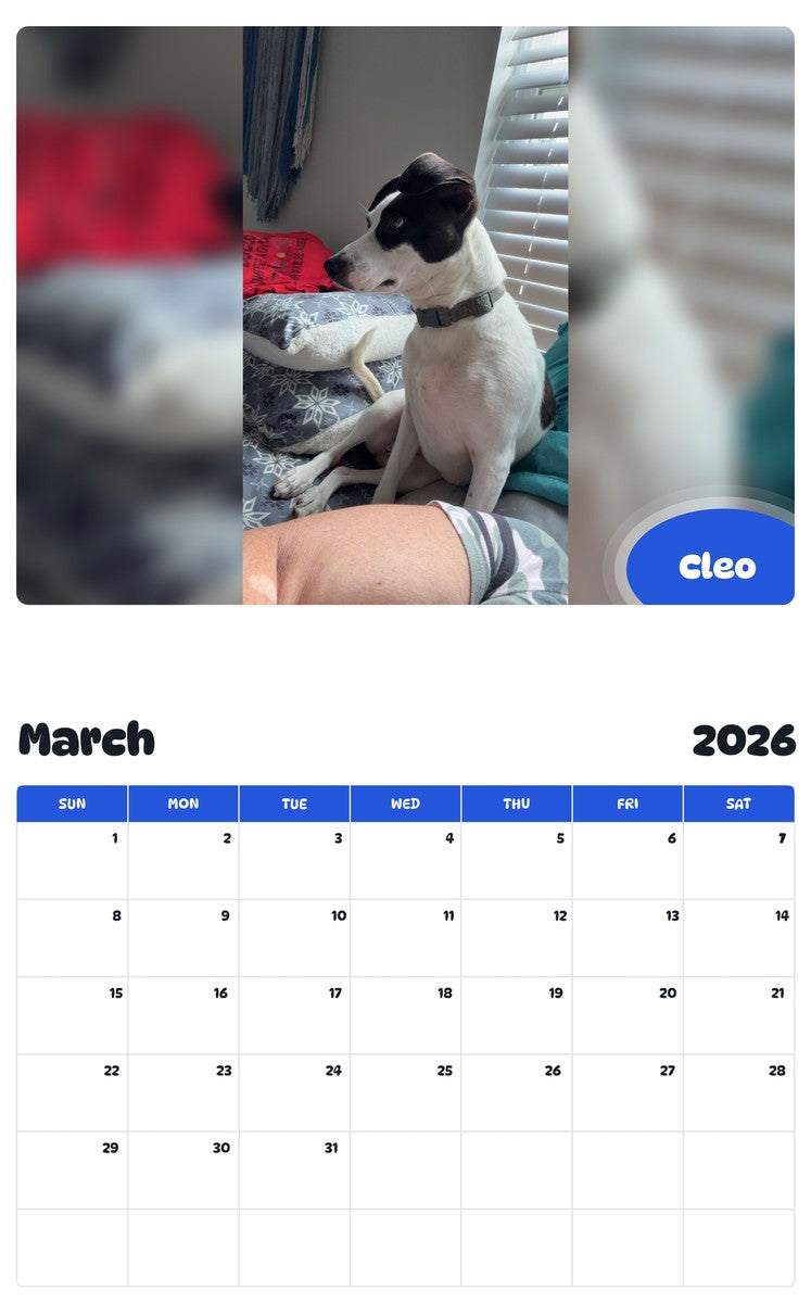 November 2025 - October 2026 Cleo - Pawidols Pet Calendar