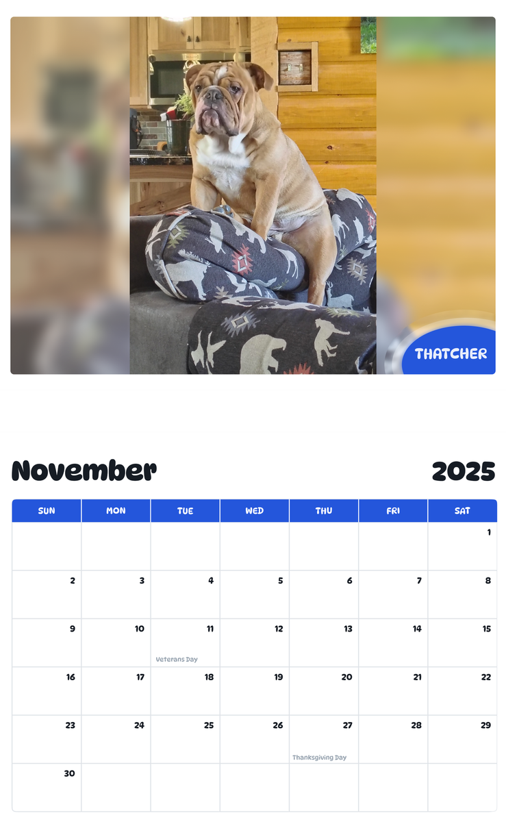 July 2025 - June 2026 Thatcher - Pawidols Pet Calendar