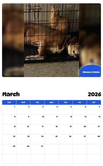 November 2025 - October 2026 Chance & Simba - Pawidols Pet Calendar