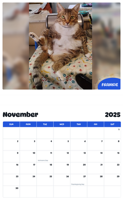 July 2025 - June 2026 Frankie - Pawidols Pet Calendar