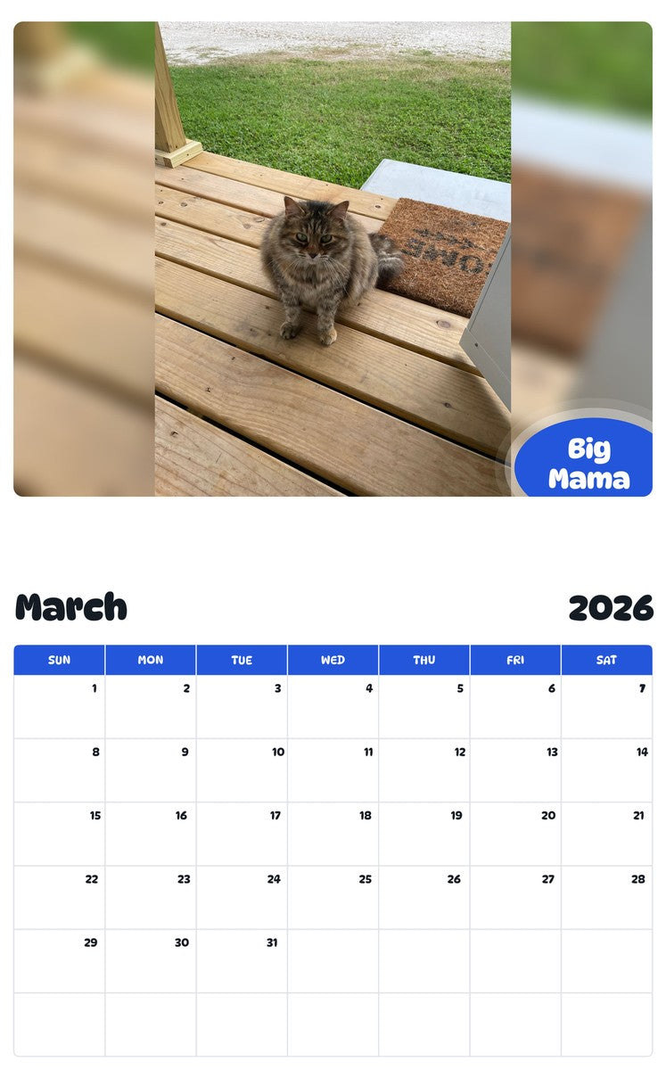 November 2025 - October 2026 Big Mama - Pawidols Pet Calendar